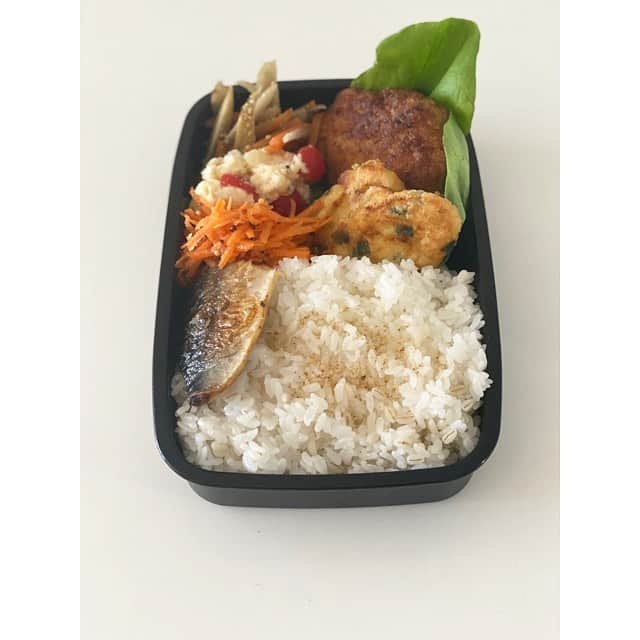 前田ゆかのインスタグラム：「ちょっと彩を…  安定の和弁当が落ちつく。  #お弁当 #男子弁当 #bento  #maeyukabento」