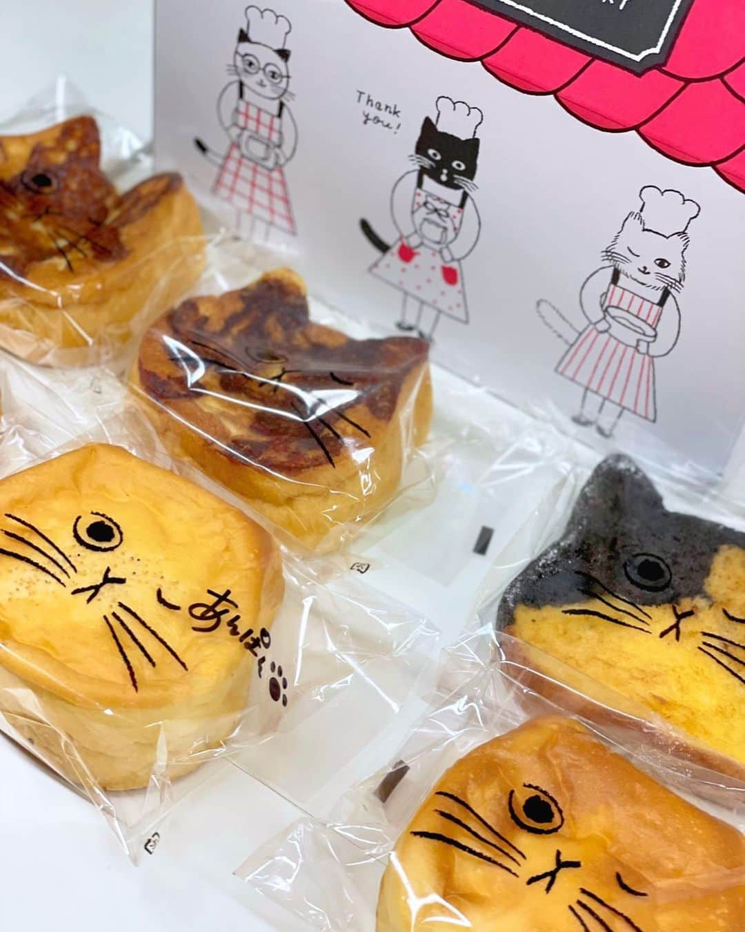 小栗有以さんのインスタグラム写真 - (小栗有以Instagram)「ねこねこ食パン🍞🐾  かわいすぎる~~ ネコの日という事で 差し入れで頂きました🐈♡  何味かなぁ〜 ワクワク…🐾  #ねこねこファクトリー #ネコ食パン#ねこねこ食パン  #パン#パン好き」4月22日 20時10分 - yuioguri_1226