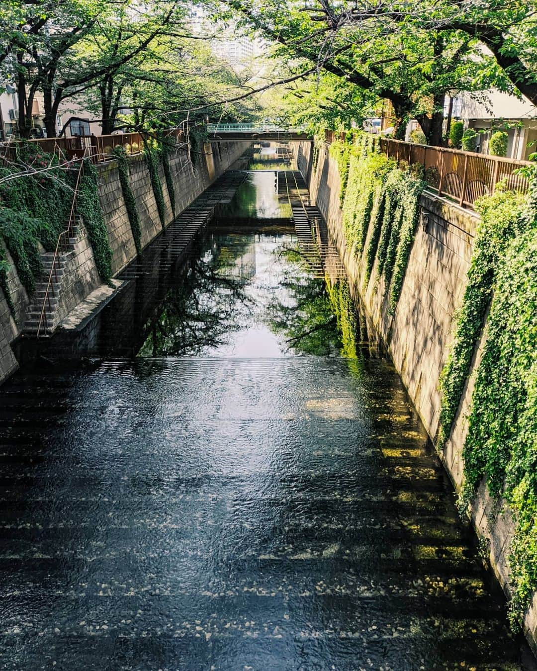 Yoshiko Kris-Webb クリス-ウェブ佳子さんのインスタグラム写真 - (Yoshiko Kris-Webb クリス-ウェブ佳子Instagram)「強烈な突風が吹き抜けた東京。今日4月22日は、地球のことを考えて行動するアースデイでした🌏  2015年にSDGsという言葉が世に出る以前から、SDGsを推進し続けてきたサルヴァトーレ フェラガモが、Earth Day 2021を記念して製作した#FerragamoEarthBag  1992年の発表以来、恒久的な人気を博しているアイコニックなバッグ❝トップハンドル❞を再解釈し、FSC認定のコルク、再生ナイロン、再生ポリエステルなどのサステナブルな素材を用い、また地球環境に最大限配慮した製造工程を経て作られています。  ワインのようにエイジングするほどに趣が増すバッグ。大切に長く使うことはサステナブルな取り組みへの基本です。#SalvatoreFerragamo」4月22日 21時24分 - tokyodame