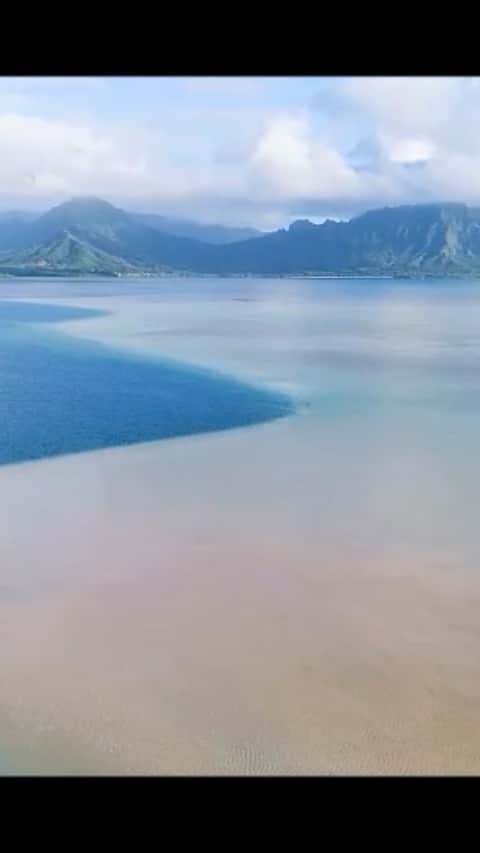 鮎河ナオミのインスタグラム