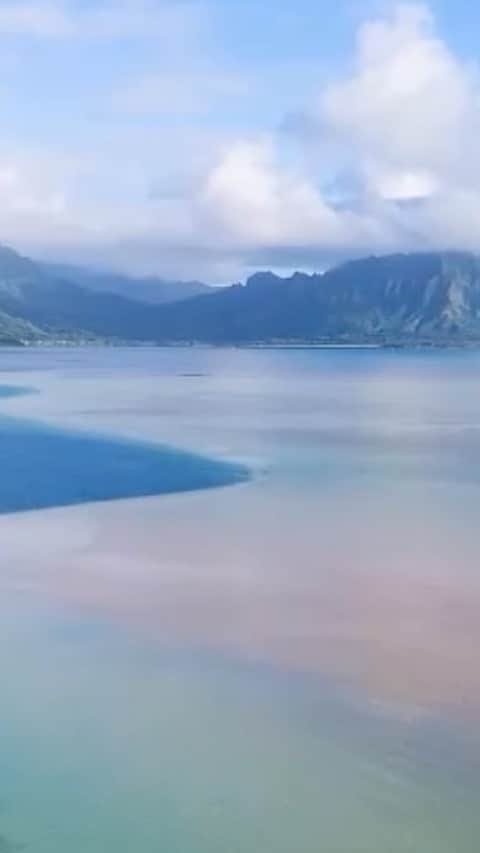 鮎河ナオミのインスタグラム