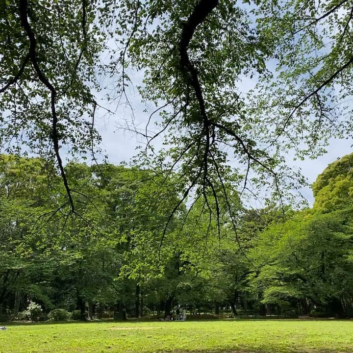 軍地彩弓のインスタグラム：「今日はEARTH DAY 近所の公園で葉桜の下でランチ食べながら、こんな美しい自然がいつまでもつづきますようにと祈る。 そして、その環境を守るのは一人一人の行動なんだよなあ、と考えながら。 学び、考え、行動する。  感謝と実践だなあ、と。  #earthday2021 #earthday」