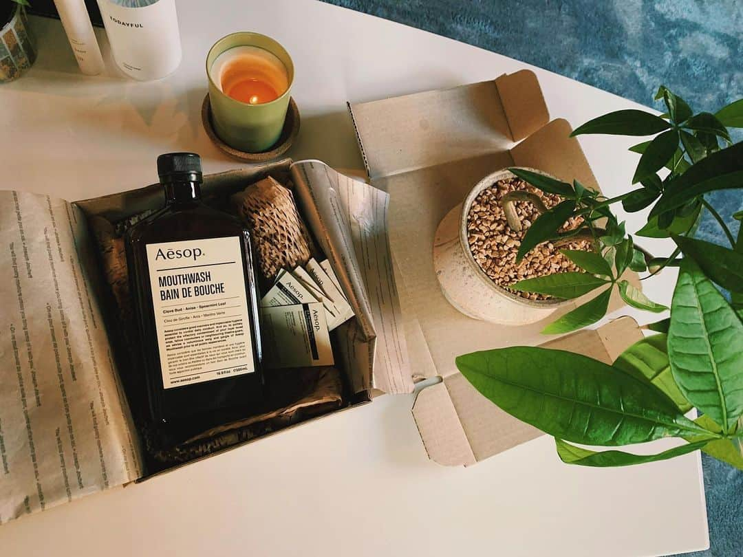 ellieのインスタグラム：「・ ・ ・ プレゼントがしゃれおつ🥺💗 @noda_____ ありがとう！ ・ ・ ・ ・ #aesop #home #plants #birthday #present #interiordesign #観葉植物 #インテリア #inspiration #thankyou #💗」