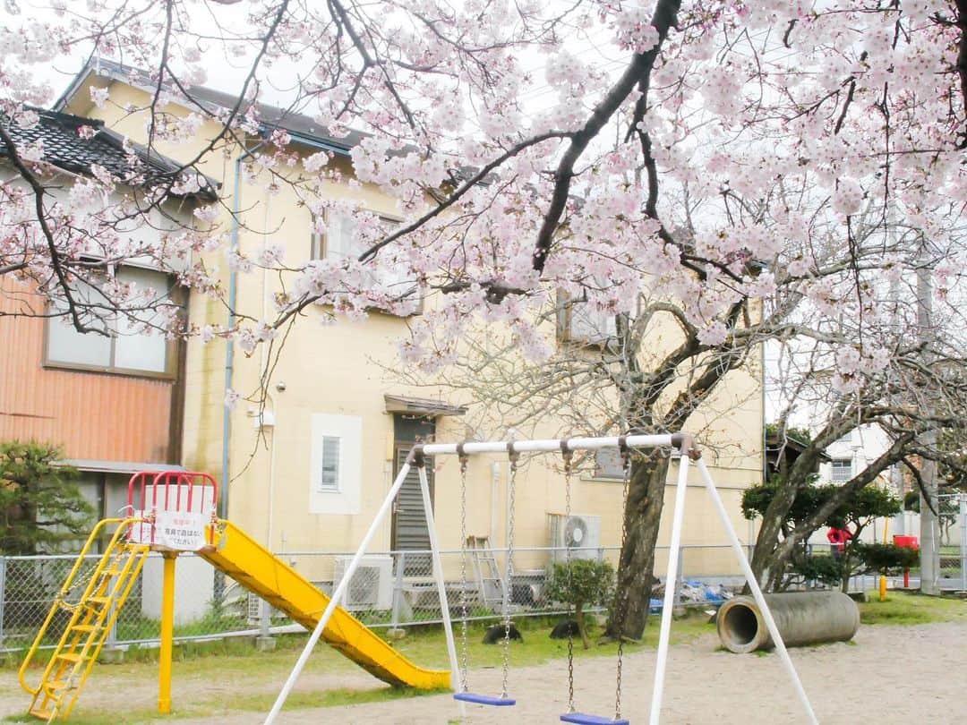 のインスタグラム：「ひみつの穴場」