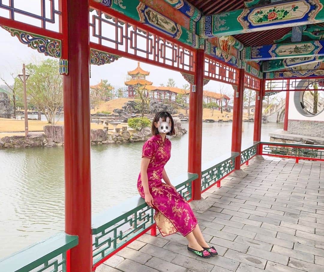 しゃらのグルメインスタ