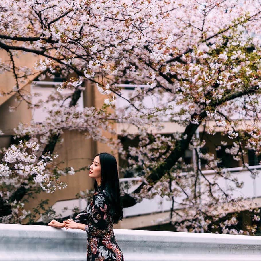 南真琴さんのインスタグラム写真 - (南真琴Instagram)「. . 滑り込みで桜の写真🌸 . #model#gravure#racequeen#时装#自拍#照片#粉我##팔로우환영#팔로우미#셀카그램#란제리#レースクイーン#fashion#ファッション#ビジョビ#ZARA#作品撮り#桜#ポートレート」3月29日 20時03分 - makoto666_