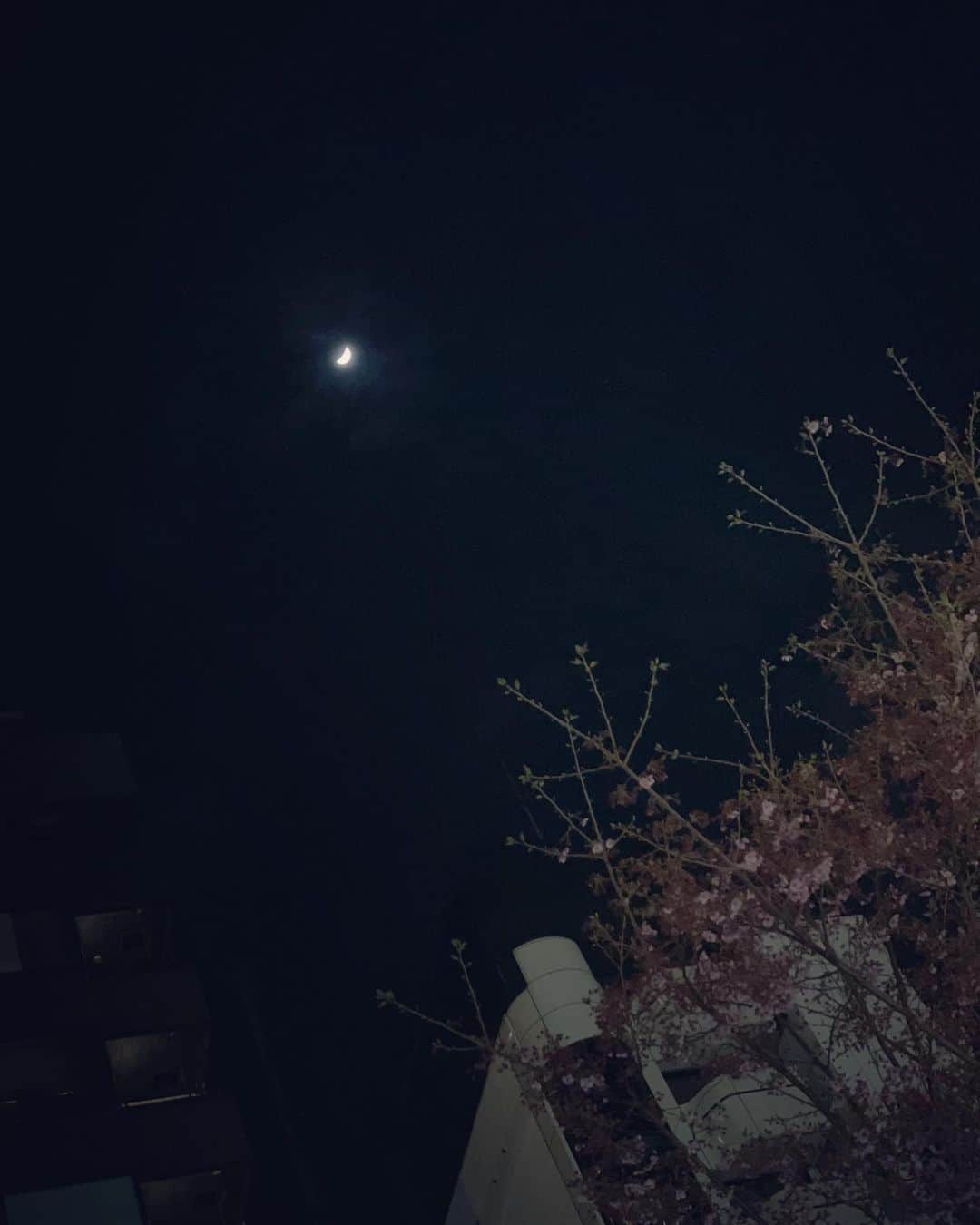 道江幸子さんのインスタグラム写真 - (道江幸子Instagram)「🌙🖤」3月29日 20時08分 - sachiko_michie