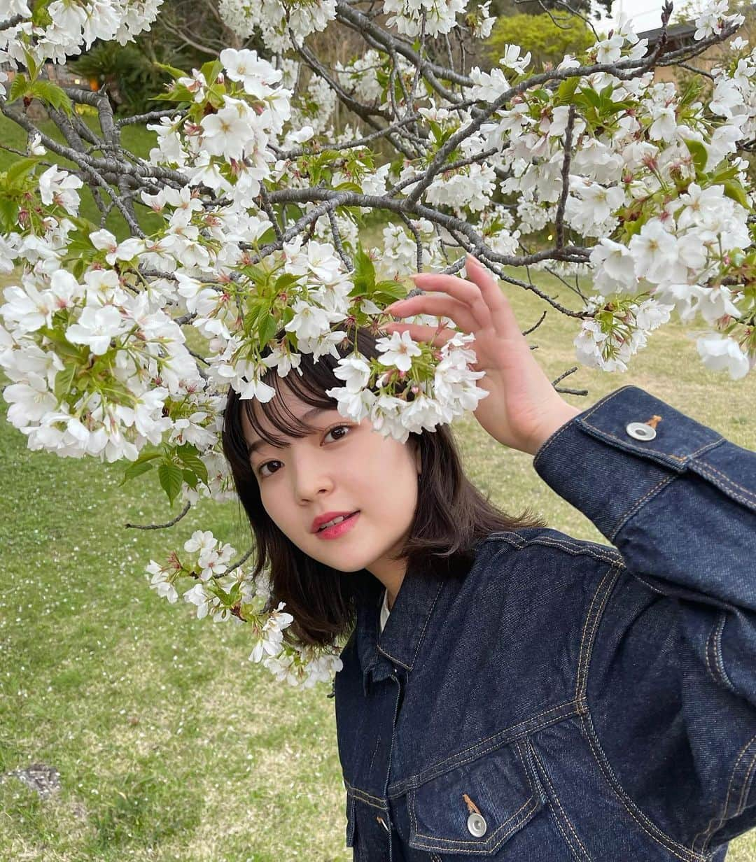 田中芽衣（めいめろ）さんのインスタグラム写真 - (田中芽衣（めいめろ）Instagram)「🌸🌸🌸 #めいしふく」3月29日 20時38分 - mei_tnk