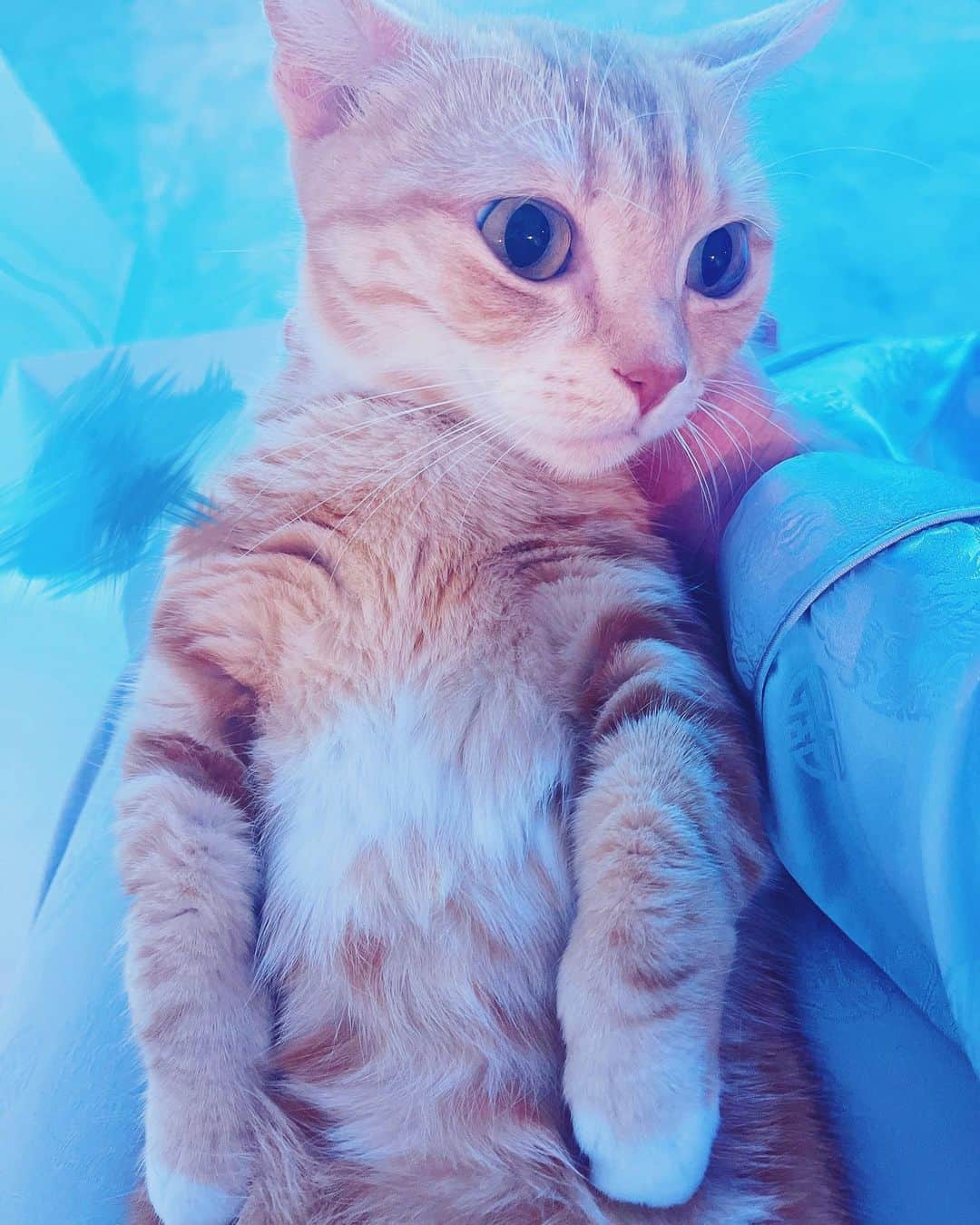 のインスタグラム：「ばぶちゃんなんだから、仕方ねーだろ (CV : 宇宙 )  たまに甘えてくる宇宙かわいい」