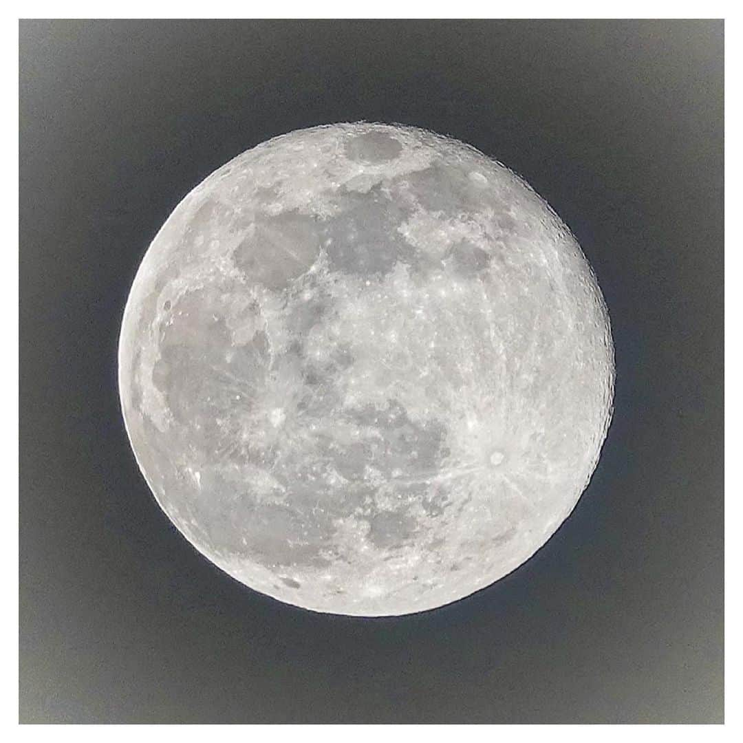 さだまさしさんのインスタグラム写真 - (さだまさしInstagram)「ワームムーン🌕 3月の満月 . #ワームムーン #満月 #さだまさし #sadamasashi」3月29日 21時07分 - sada_masashi