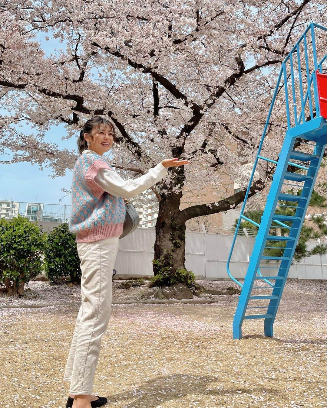 manaさんのインスタグラム写真 - (manaInstagram)「. 桜がすご〜い🤍🤍🤍🤍 そして #まなきょうふく 👛🥣🛼  #ootd #fashion #zara #ザラジョ #ザラコーデ #zara #プチプラコーデ #春コーデ #暖かいって最高」3月29日 21時31分 - manafiemom