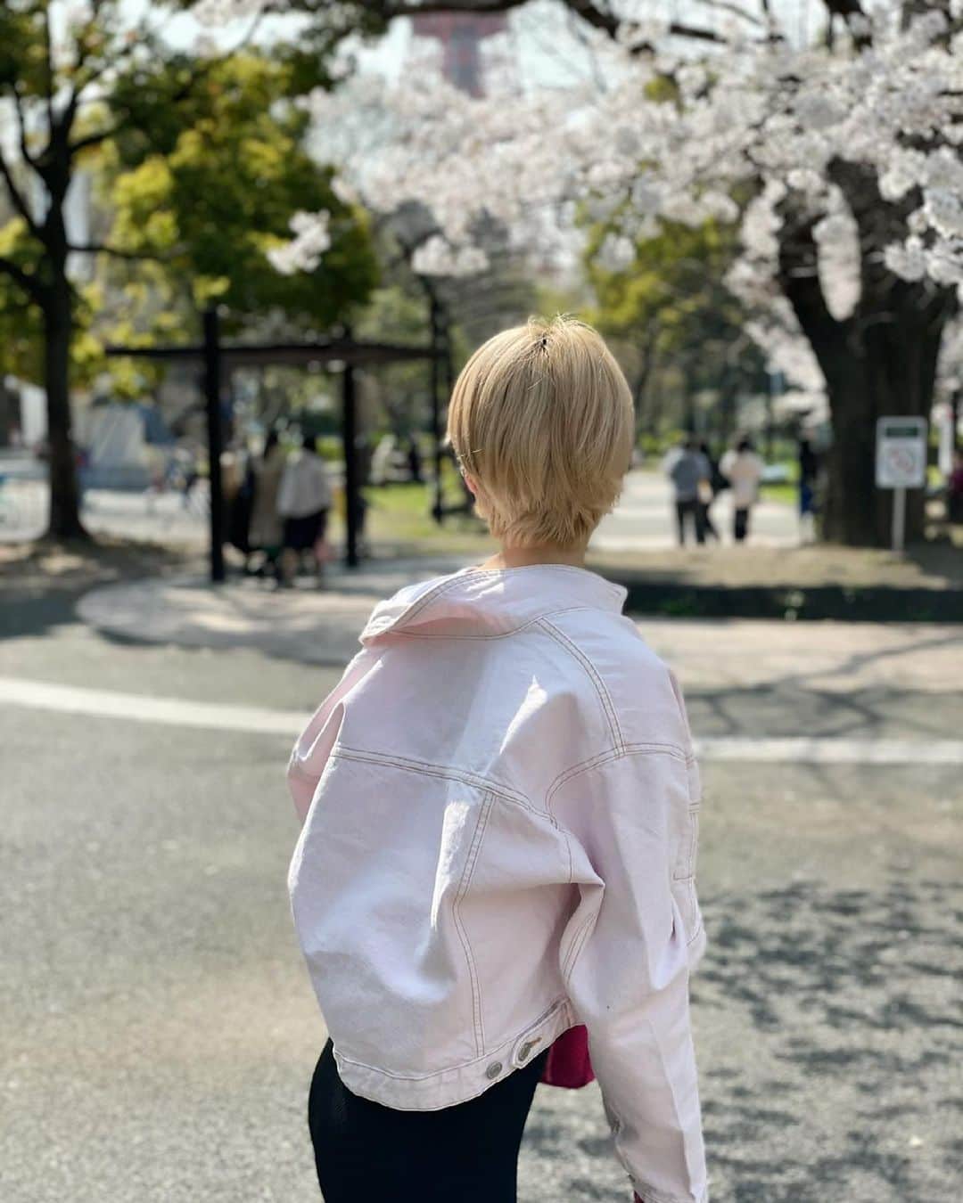 &mのインスタグラム：「さくらまいちる🌸」