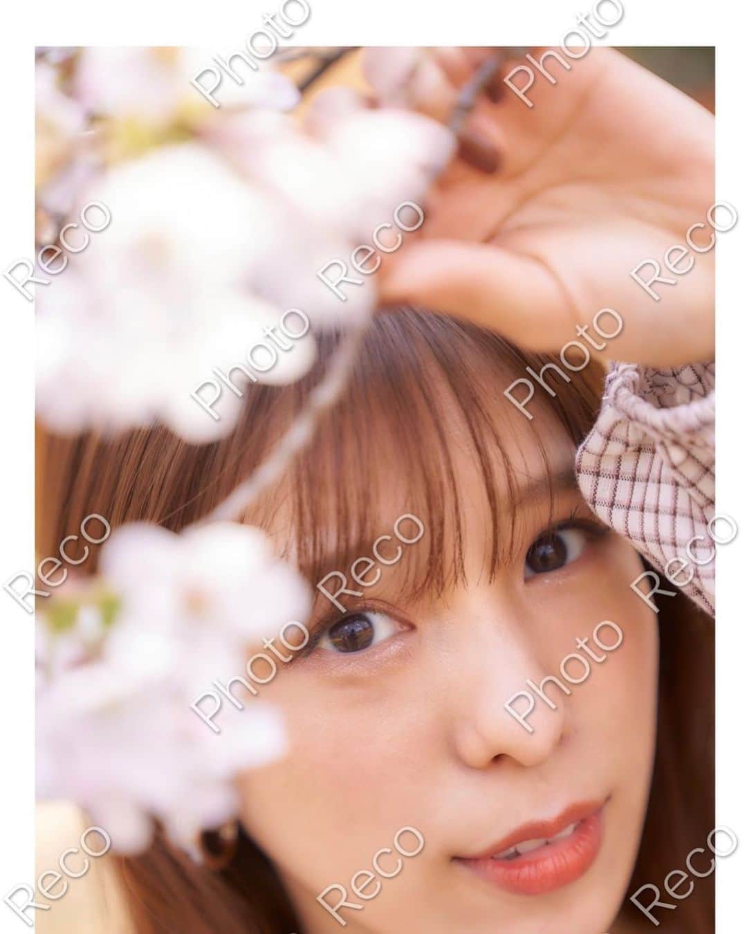 小嶋菜月さんのインスタグラム写真 - (小嶋菜月Instagram)「🌸🌸🌸 . . この為だけに撮っていただいた 特別な限定写真もあります💐 . . 桜が綺麗だったなぁ〜🌸 . . たくさん色んな種類があるから みてみてねっ☺️✨ . . 申し込み期間は 今日から4/4日曜日までです！！！ . . よろしくね❤️ . . https://www.photoreco.com/fit-fan . . #限定 #写真 #🌸」3月29日 21時42分 - kojimanatsuki_offical