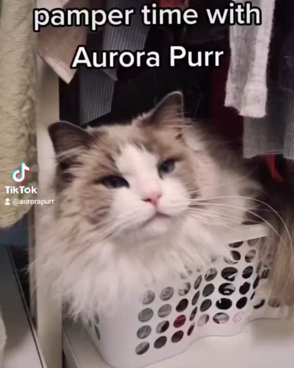 Princess Auroraのインスタグラム