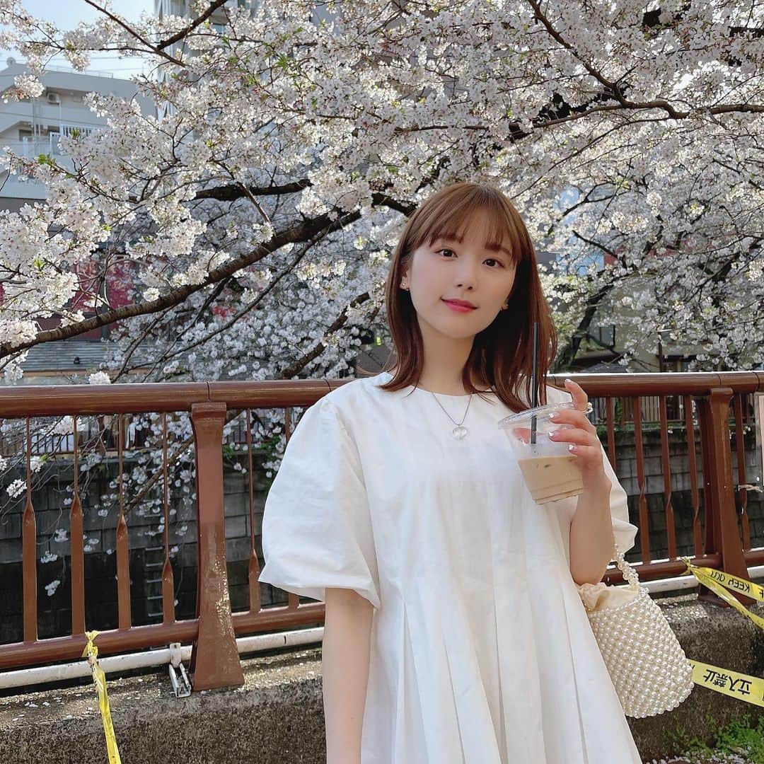 ひよんのインスタグラム：「🌸🌸🌸 ㅤㅤㅤㅤㅤㅤㅤㅤㅤㅤㅤㅤㅤ 桜たくさん見れて嬉しい😆💓 やっぱり何度見てもかわいいな〜🌸 ㅤㅤㅤㅤㅤㅤㅤㅤㅤㅤㅤㅤㅤ #ひよん」