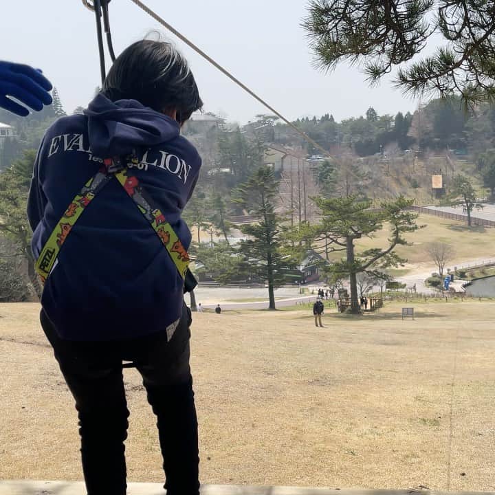おもちゃんねるんのインスタグラム：「今日六甲山で先行体験させていただきました。 ジップラインで飛び立つ息子さんです。 #greenia #おもちゃんねるん #フィッシャーズ」