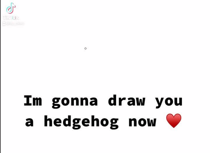 のインスタグラム：「I’m @Liz_Climo on TikTok, if you feel like giving me a follow! ❤️ I posted this little drawing video over there this morning. It took me an extremely long time to figure out how to post it 😅💁🏻‍♀️ (Song is: Yui Yamaguchi “She Share Story”)」