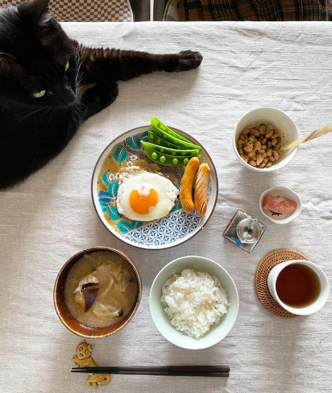 猫沢エミさんのインスタグラム写真 - (猫沢エミInstagram)「やらねばならんことは山ほどあるというのに、コーヒー飲みながらキャットワールドニュースを書いてみたり…人間って矛盾に満ちた生き物ですね。  朝昼兼用、日本の目玉焼き納豆朝食。  ピガ兄が今日もごはんにお付き合いしてくれる。  イオが亡くなって哀しんでいる間にも、この子たちの時間も過ぎる。そして、その時間も限られた大切なもの。  イオちゃんが教えてくれた、生きることの輝きを、ピガとユピにもこれまで以上に注いでいきたい。  ファビュラスジェントルボーイズよ、私の人生にいてくれてありがとう。  #ピガ兄　#猫沢組　#イオちゃんフォーエバー　#猫沢飯　#ねこしき　#ちゃんと食べればちゃんと未来はやってくる」3月30日 12時51分 - necozawaemi