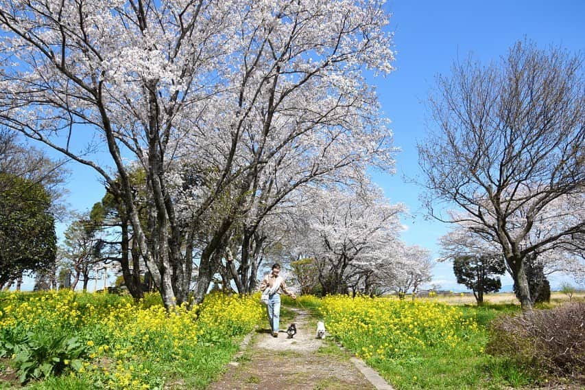 小野真弓のインスタグラム