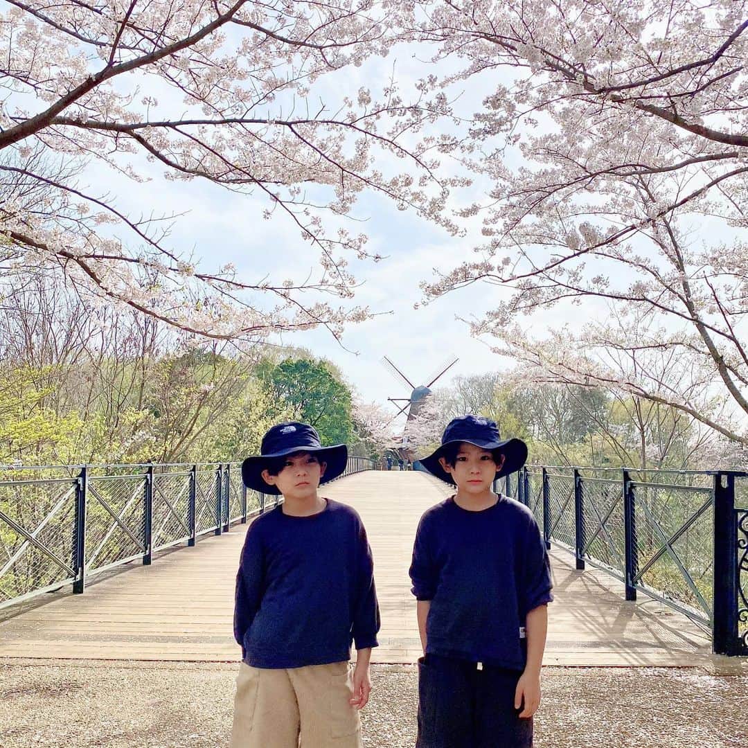 ayakoさんのインスタグラム写真 - (ayakoInstagram)「❤︎ 昨日は お天気も良くて #ふなばしアンデルセン公園 へ 久々に外でたっぷり遊びました❤︎ * * ❤︎ #桜満開#双子#小学生男子」3月30日 8時03分 - ayaya315