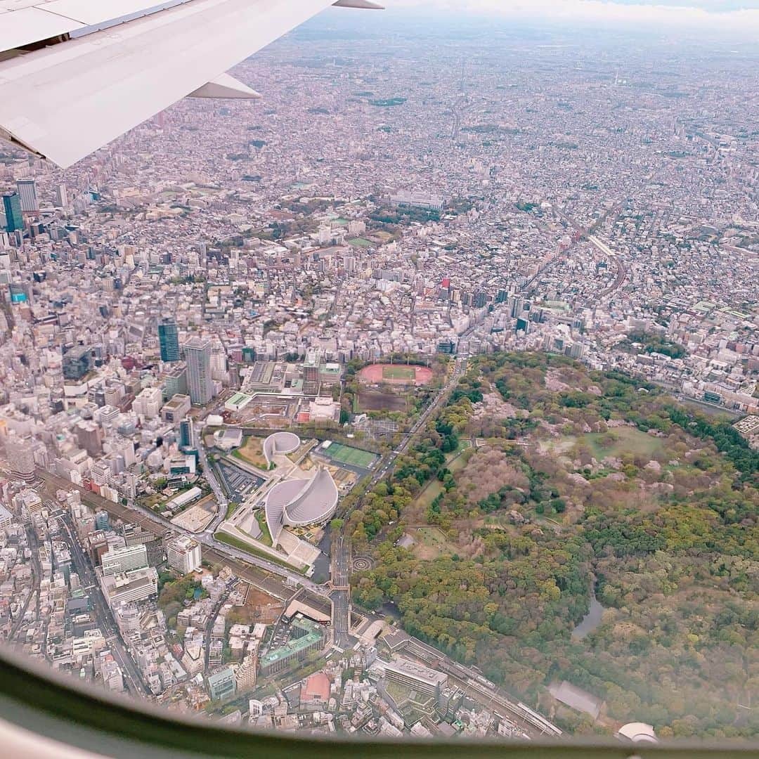 石田ひかりさんのインスタグラム写真 - (石田ひかりInstagram)「代々木公園、岸体育館、NHK、渋谷の街、目黒の自然教育園、白金小、御殿山の開東閣（かいとうかく）❣️ 最後の写真の白い直線に見えるのは 新幹線でした🚅❣️ 窓際でも右と左で見える景色がぜんぜん違って ずーっと窓にへばりついてました☺️ 乗る前に姉に 後ほど東京上空を通りますわよ と連絡しましたが なぬ 仕事ちうで布を触れません 残念 とのことでしたw」3月30日 14時30分 - hikaringo0525