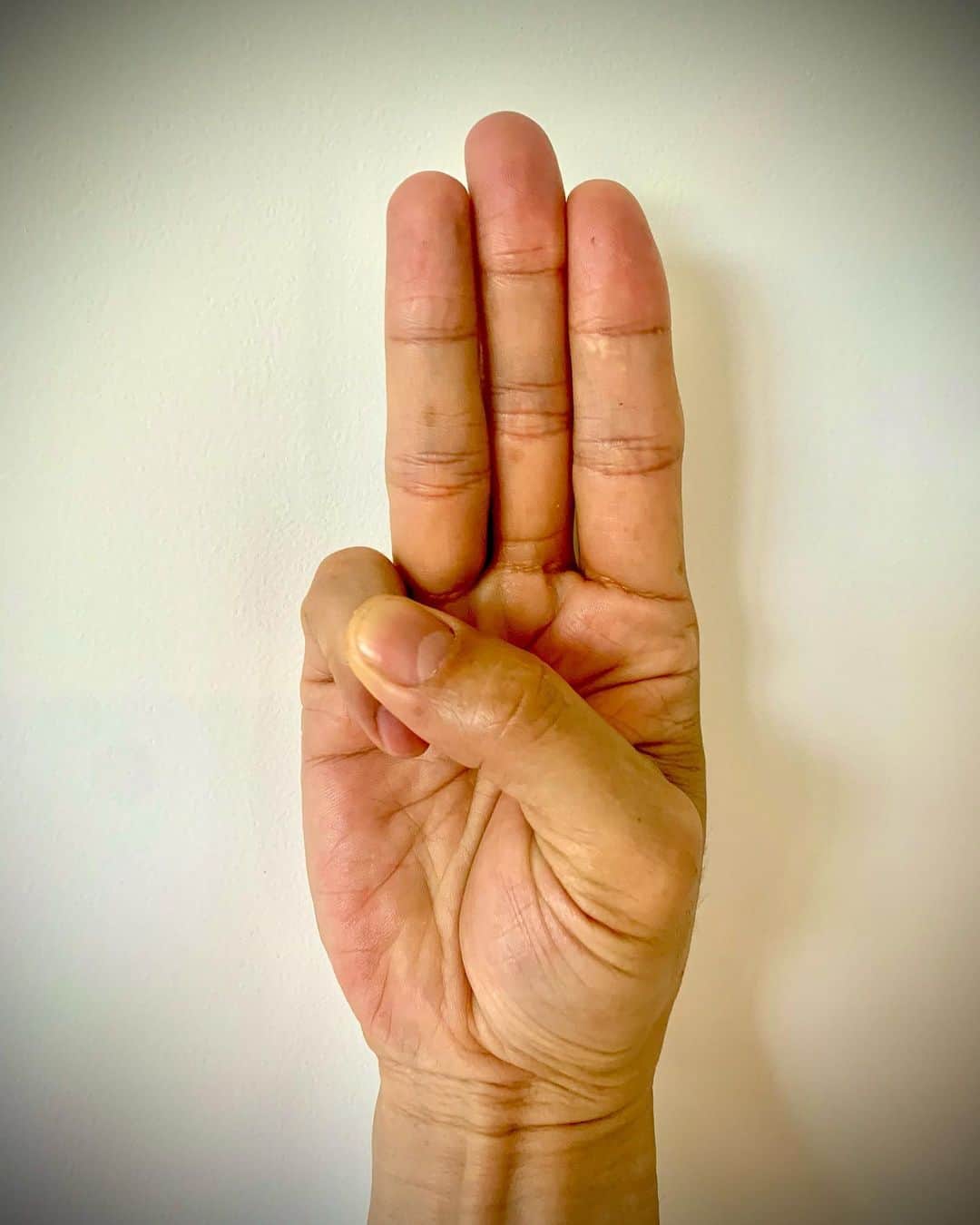 シン・ソンウのインスタグラム：「지지합니다  미얀마 국민들의 민주화 의지를! #신성우 #shinsungwoo #myanma #democratization」
