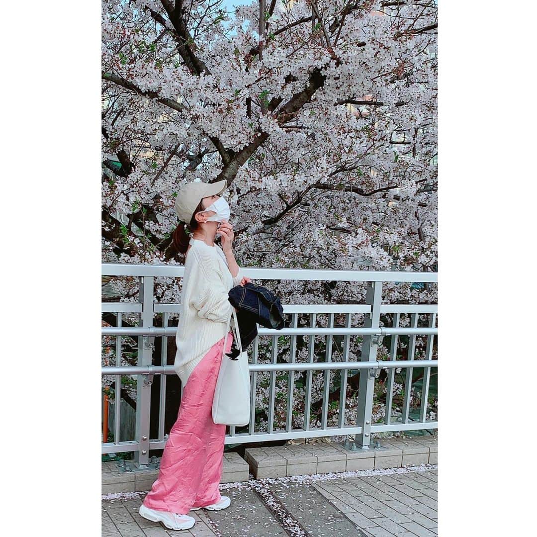 坂田陽子さんのインスタグラム写真 - (坂田陽子Instagram)「目黒川お花見クルーズ🌸 ・ いつもは歩いて眺めていた桜を、今年はのんびり川面から見上げてみた。 ・ 青空に映える目黒川沿いの桜達。胸に沁みる美しさでした🌸 ・ またピンクのパンツ履いちゃったよ🤣 ・ ・ #目黒川お花見クルーズ  #目黒川 #目黒川の桜」3月30日 10時33分 - yokosakata