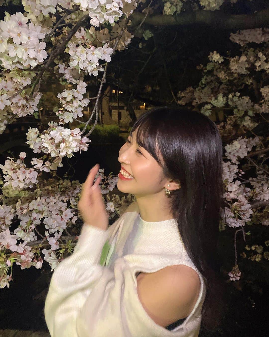 岸本沙季さんのインスタグラム写真 - (岸本沙季Instagram)「満開夜桜🌸」3月30日 11時33分 - saki__kishimoto