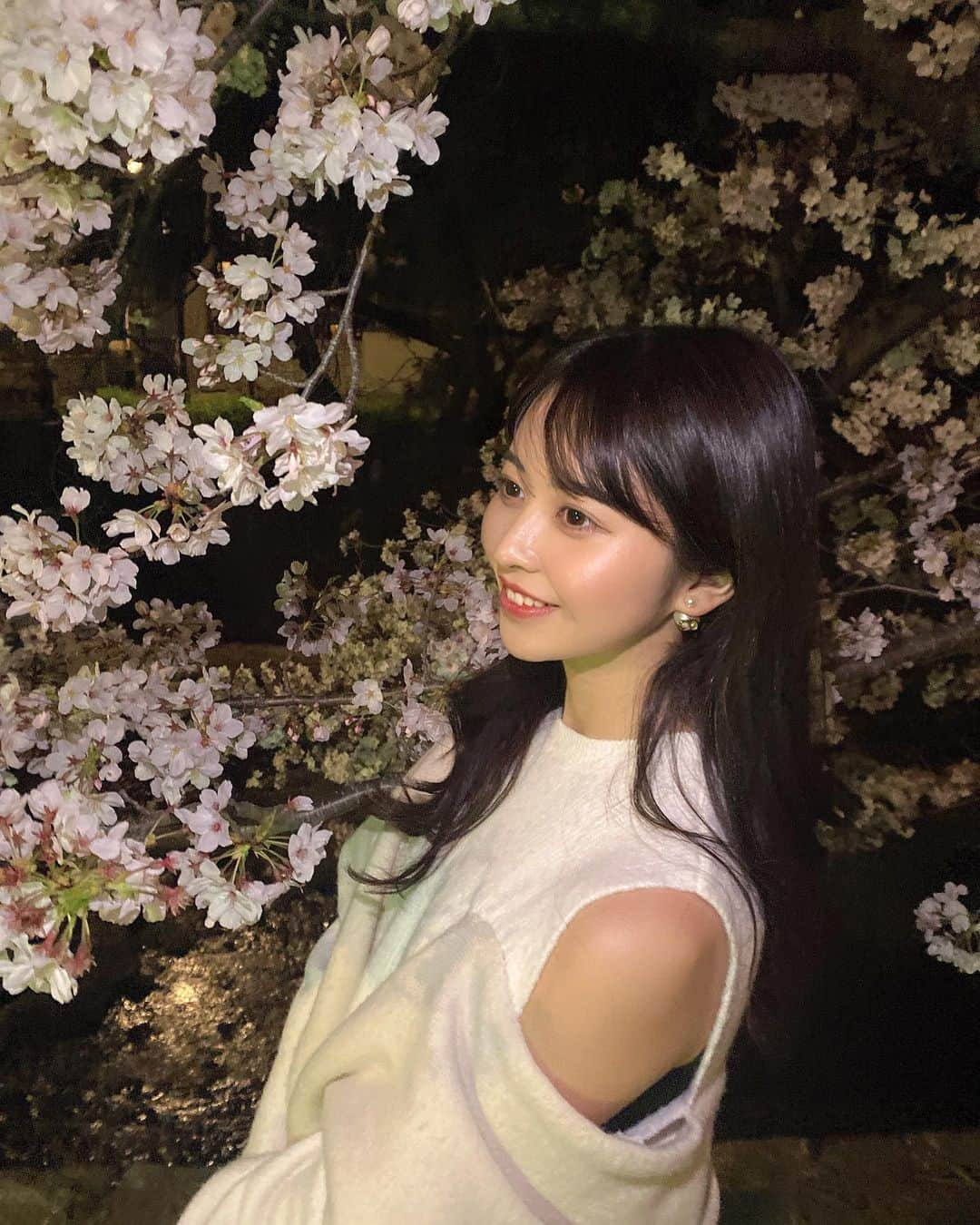 岸本沙季さんのインスタグラム写真 - (岸本沙季Instagram)「満開夜桜🌸」3月30日 11時33分 - saki__kishimoto