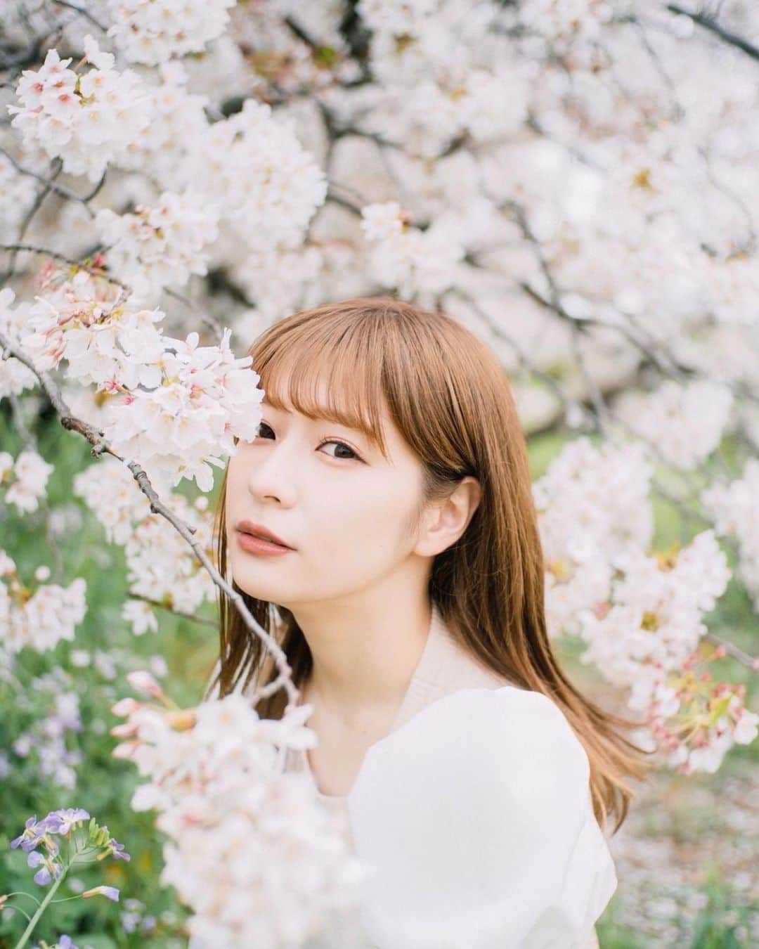 深瀬美桜さんのインスタグラム写真 - (深瀬美桜Instagram)「本日21歳の誕生日を迎えました 沢山の愛を本当に有難う御座います、🤍 幸せでいっぱいです これからも深瀬美桜を宜しくお願いします🌸」3月30日 11時50分 - fukasemio