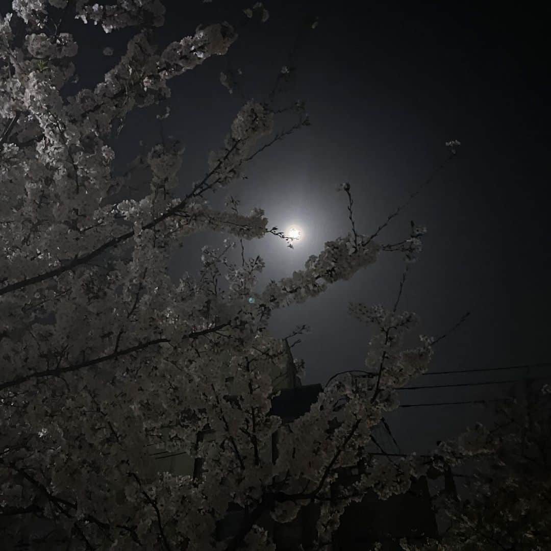 乃愛さんのインスタグラム写真 - (乃愛Instagram)「🌙🌸」3月30日 22時46分 - _0w022