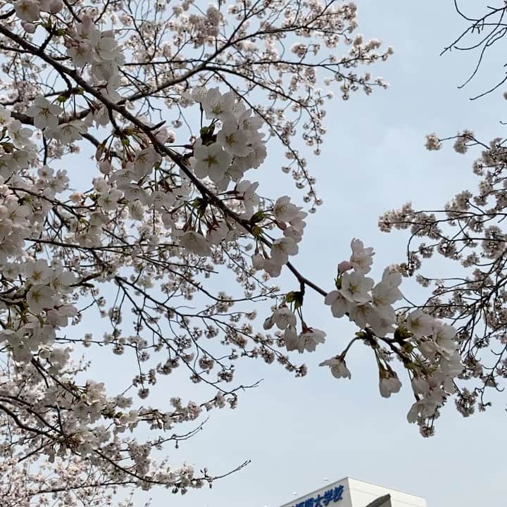 海津ゆうこのインスタグラム