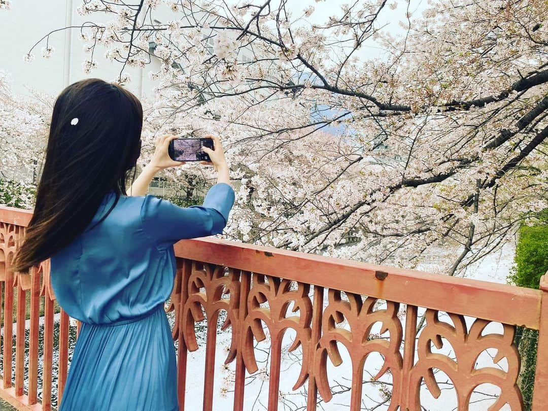 ダレノガレ明美さんのインスタグラム写真 - (ダレノガレ明美Instagram)「🌸」3月30日 16時29分 - darenogare.akemi