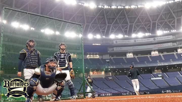 オリックス・バファローズのインスタグラム