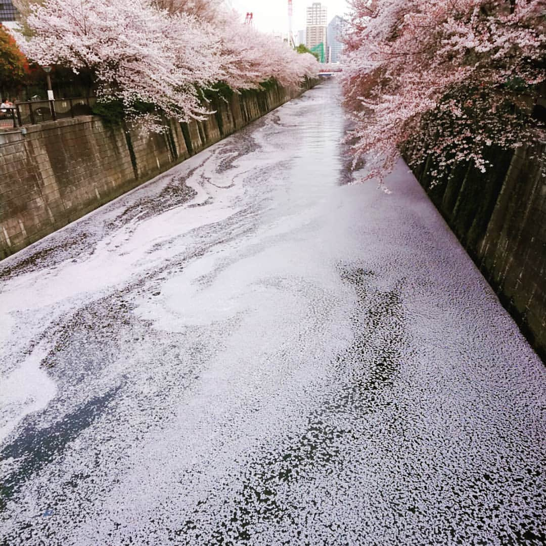 富永美樹のインスタグラム