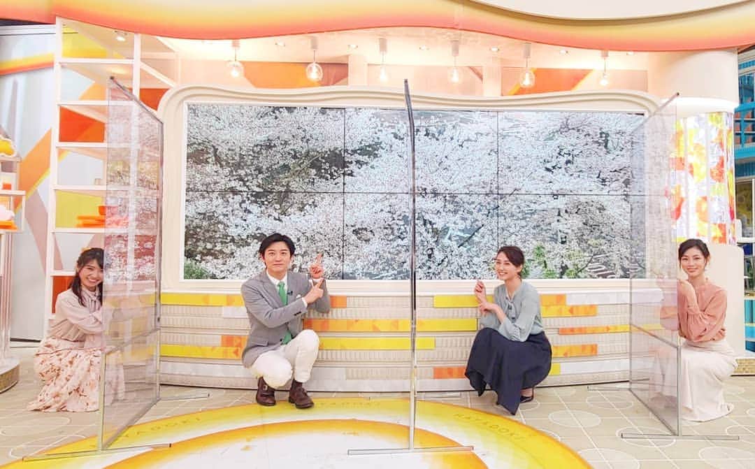 TBS「はやドキ！」のインスタグラム：「火曜日メンバーです🌸﻿﻿ ﻿﻿ 雨も降って少し散ってしまいましたが、﻿﻿ 赤坂の桜もまだ綺麗ですよ😊﻿﻿ ﻿﻿ 3月ものこりわずかです💨﻿﻿ 今週もよろしくお願い致します✨﻿﻿ ﻿﻿ ﻿﻿ 皆川﻿﻿ ﻿﻿ ﻿﻿ #火曜日﻿﻿ #山本匠晃﻿﻿ #山形純菜﻿﻿ #中西悠理﻿ #アナウンサー﻿﻿ #久保井朝美﻿﻿ #気象予報士﻿﻿ #はやドキ﻿﻿ #tbs」