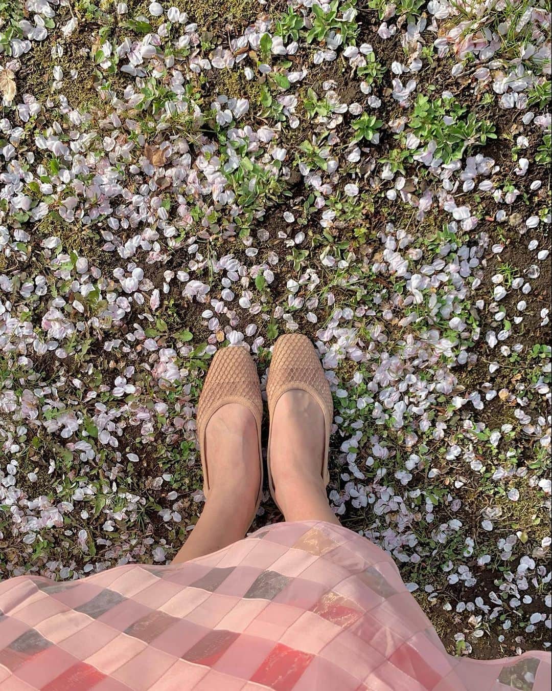堀江聖夏のインスタグラム