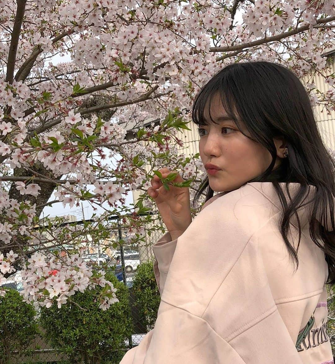 関谷瑠紀さんのインスタグラム写真 - (関谷瑠紀Instagram)「✎﻿ ﻿ 桜が綺麗に咲き誇っていて、春だなぁと感じます。﻿ ﻿ 今日はお世話になった卒モの皆様の﻿ オンライン卒業式だったので、号泣しながら見ていました🥲﻿ 皆さんとても優しいし、私の憧れです。﻿ 今までありがとうございました！﻿ ﻿  #桜 nicola #ニコラ #ニコモ #関谷瑠紀」3月30日 17時28分 - ruki_0808
