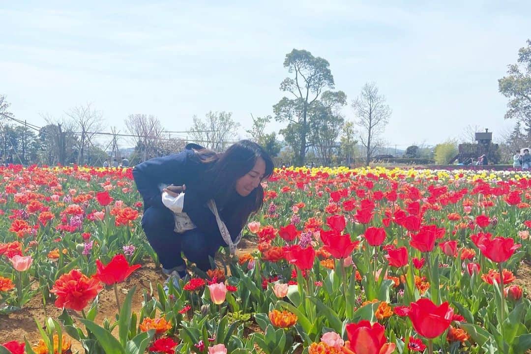 坂口由里香のインスタグラム：「🌷🌷🌷  こないだお散歩がてらお花を見に行きました〜！ 春がやってきてますね！！  #チューリップ #花菜ガーデン #お散歩」