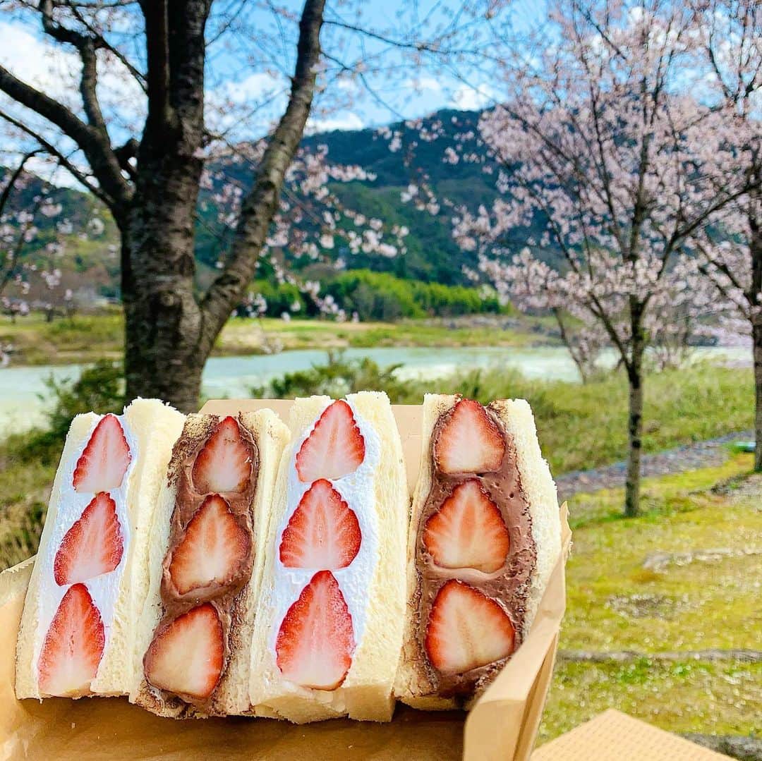 須田亜香里のグルメインスタ