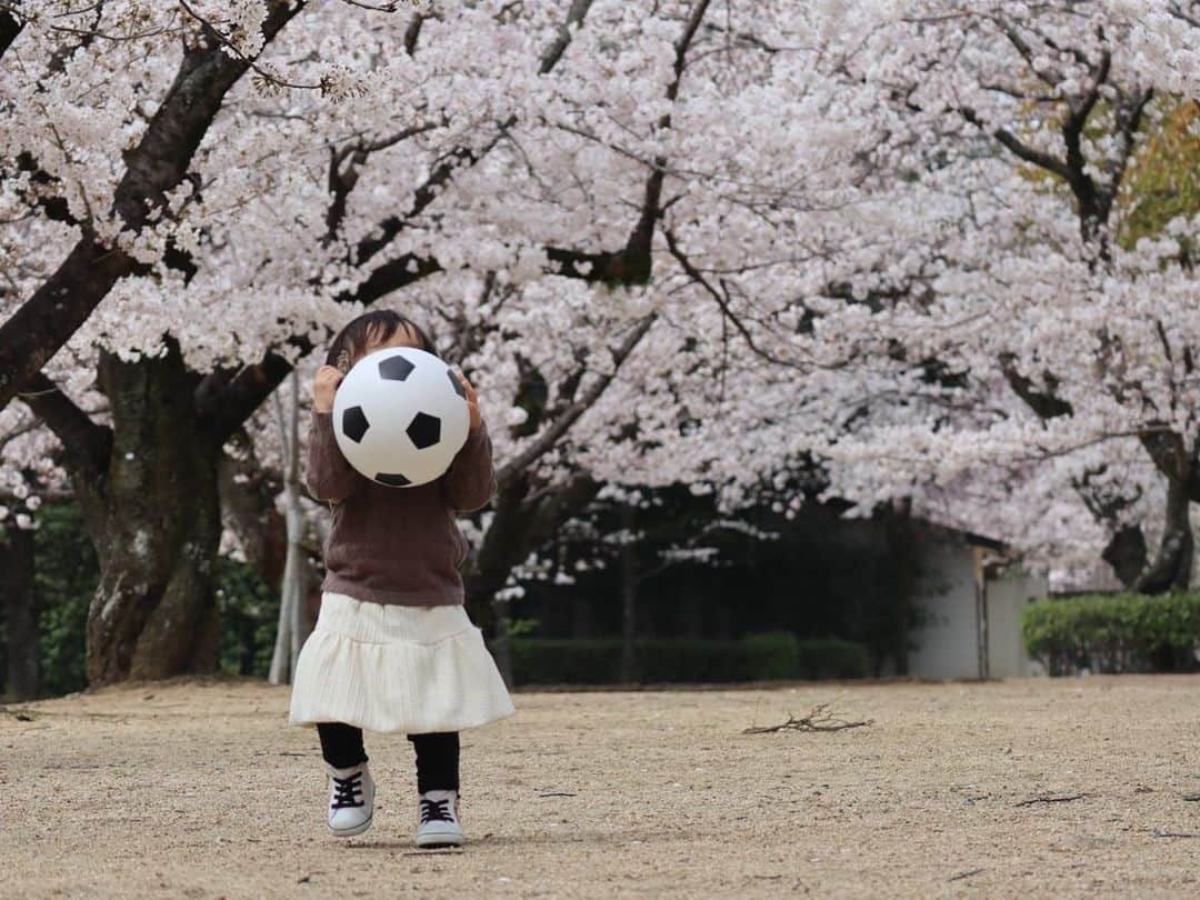 櫻内渚さんのインスタグラム写真 - (櫻内渚Instagram)「お花見🌸  #リフレッシュ😁 #櫻内と桜🌸 #コラボ🤩 #サッカーに目覚めたのかな⚽️」3月30日 19時16分 - sakurauchi_nagisa