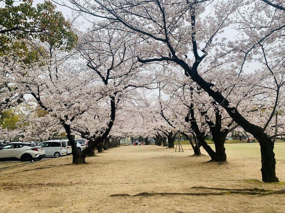 櫻内渚のインスタグラム：「お花見🌸  #リフレッシュ😁 #櫻内と桜🌸 #コラボ🤩 #サッカーに目覚めたのかな⚽️」