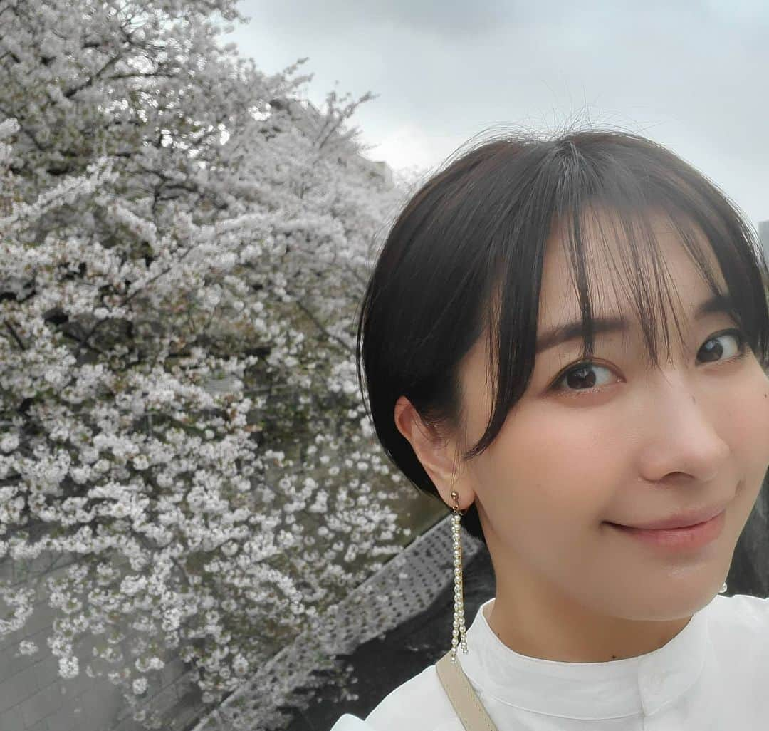 山崎真実さんのインスタグラム写真 - (山崎真実Instagram)「先日の雨でちょっと桜散っちゃったかもだけどまだまだキレイに咲いてた！ もう一回ぐらいどこかで桜見れたらいいなぁ…  #桜#この季節が好き#桜キレイ#山崎真実」3月30日 19時47分 - mami_yamasaki0920