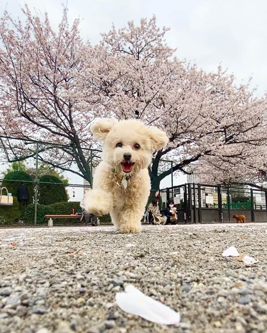 三谷紬のインスタグラム