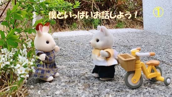 『モコミ～彼女ちょっとヘンだけど～』テレビ朝日公式のインスタグラム：「🌷#モコミ×#シルバニアファミリー 第八話🌷  ①佑矢くんが「お花の声が聞こえないなら、僕と話そう」って慰めてくれたよ！  ②パパはママに、自分の気持ちを伝えられたよ🙌  ③佑矢くんと一緒にご飯を食べて、元気出てきたよ🌸  ④涼音と真由は、モコミを心配してるみたい…。  ＃モコミファミリー」