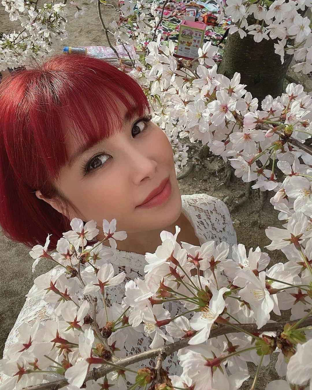 マッキーーーさんのインスタグラム写真 - (マッキーーーInstagram)「桜と私🌸何枚目が好き？ #桜 #お花見 #春 #cherryblossom  #japanesestyle」3月30日 20時36分 - g_dramaki_