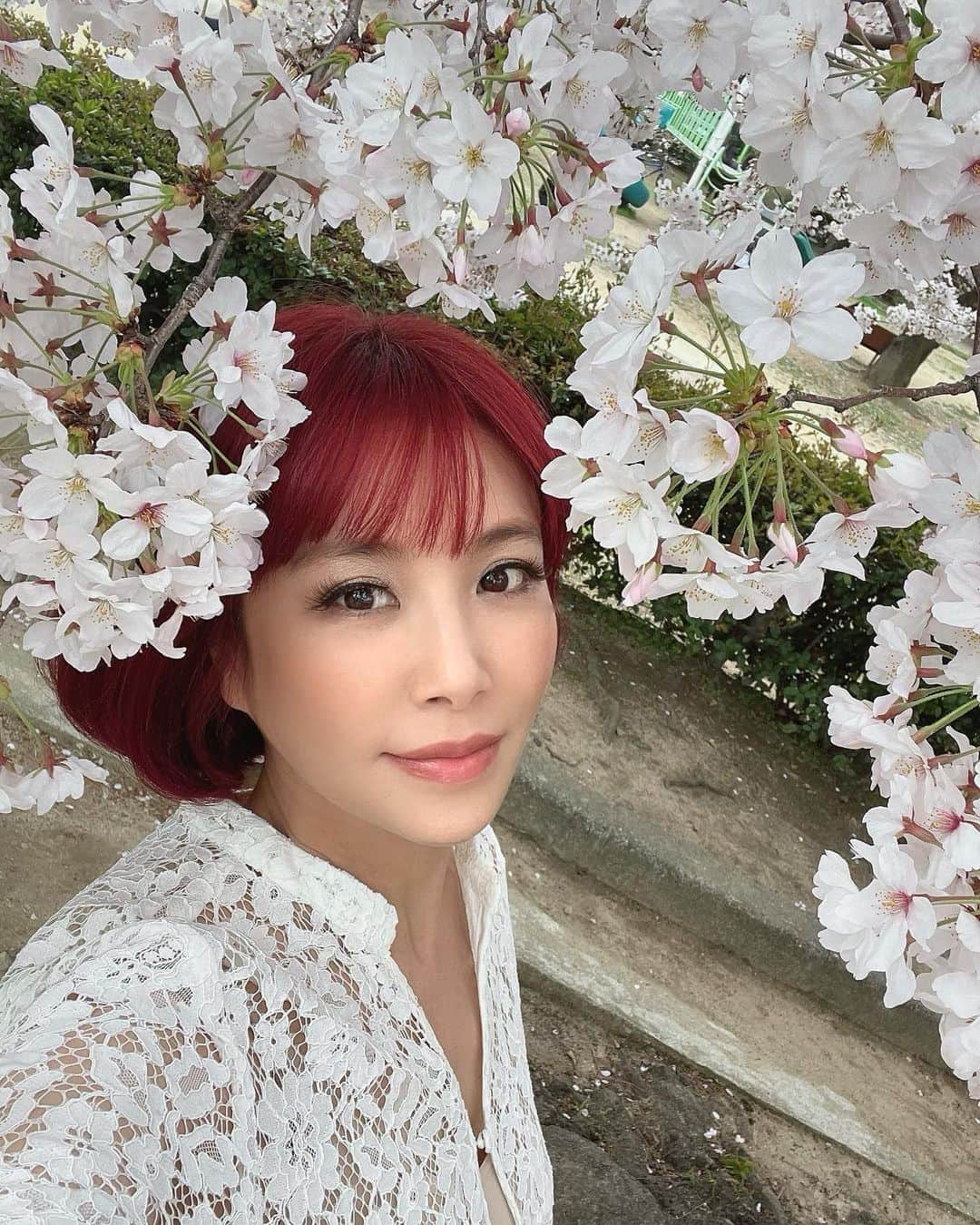 マッキーーーさんのインスタグラム写真 - (マッキーーーInstagram)「桜と私🌸何枚目が好き？ #桜 #お花見 #春 #cherryblossom  #japanesestyle」3月30日 20時36分 - g_dramaki_