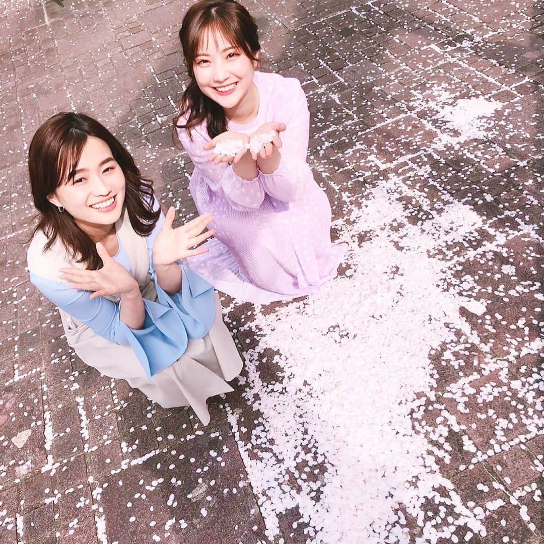 野村彩也子さんのインスタグラム写真 - (野村彩也子Instagram)「. 今日は #あさチャン 放送終わりに あさチャンファミリーで 赤坂の桜をみにいきました…🏃‍♀️👀🌸  入社してちょうど一年。 去年の今頃は入社式を迎えるはずが 延期になり出社すらできませんでした🥺  なので、はじめて、  TBS本社ビルのある 赤坂の桜を眺めることができて とっても胸がいっぱいになります😭💓💓  あと数日の儚い桜をたっくさん 目に焼き付けて こうして出社して働けていることに 改めて感謝しながら過ごします🙏  皆さんも日常にちょっとした幸せを 見つけられていますように☺️ . . .  りなさんと童心にかえって遊んでいるのを パシャリしてくださったのは📸 まおこさん💕 @shinorinatbs @hibi_maoko  また遊んでくださーい😘  #見上げるのもいいけど #桜絨毯 も大好き #ふかふかにつもっていました #ひらひらと〜花が舞うこ〜ろ〜♪ #花びらのようにちりゆくなかで〜♪ #いちご大福食べながらお花見したいなあ🍡 #いつかできる日までまた頑張ろう . . . . . #お花見 #桜 #春 #桜吹雪 #お散歩 #庭 #思い出 #TBS #アナウンサー」3月30日 20時50分 - nomurasayako