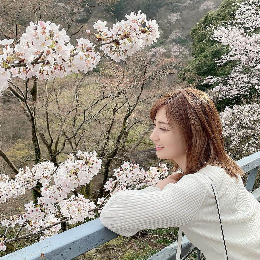 熊田曜子さんのインスタグラム写真 - (熊田曜子Instagram)「Good morning.  おはよう🌞 今日もロケ楽しんできます🌸  #桜　#ロケ　#お仕事　#shot #shooting」3月31日 8時19分 - kumadayoko