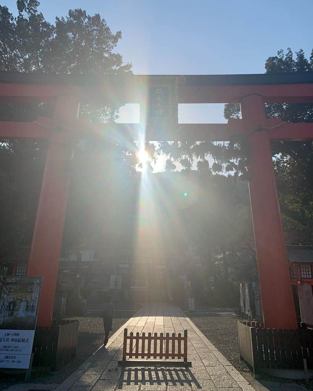 吉村優のインスタグラム：「* 先週の松尾大社⛩ この日も桜が見頃で綺麗でした🥰 * 今年はベビーのお宮参りもあって 年始から神社に行く機会が多かったのですが ようやく厄祓いも出来て一安心🥰 なのですが、、 右手首の腱鞘炎に加えて 初めて“坐骨神経痛”らしき痛みを感じ、、 改めて産後のマイナートラブルを実感。。 妊娠中は腰痛もなく、 体の不調は殆どなかったので油断していたら、、 徐々に出てくるんですね🥲 今年も健康に過ごせますように🥺🙏 * #京都 #桜 #松尾大社 #厄払い #本厄」